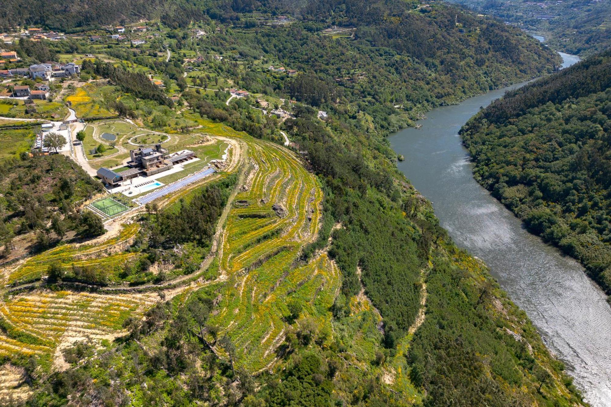 Quinta De Cabanas Douro Country House Penha Longa Exteriör bild
